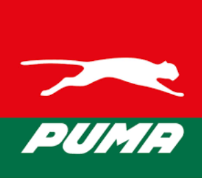 Distribuidor de Combustible Puma
